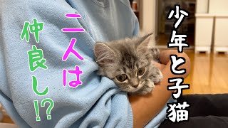 初めて人間の子供と会った子猫がこうなっちゃいました‼