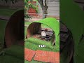 Mini Zoo yang tiket masuk nya cuma 5ribuan (goceng) Tempat rekreasi anak yang murah meriah , Lokasi