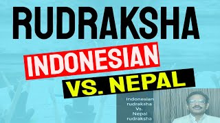 Rudraksha Indonesian Vs Nepal   Indonesian Vs Nepali Rudraksha !amazing! HINDI