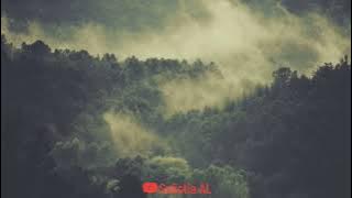 MEMULAI MENGAKHIRI-Rintik Sedu||Sulis