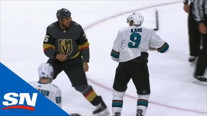 Watch: Wild enforcer Ryan Reaves delivers bone-crushing hit against Red  Wings - Sports Illustrated Minnesota Sports, News, Analysis, and More