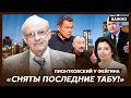 Пионтковский у Фейгина об Арестовиче на российском ТВ