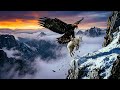 Golden Eagle's Insane Hunt vs Baby Goat! 🦅🔥 #GoldenEagle #Wildlife #EpicHunt #NatureVsNature #usa 