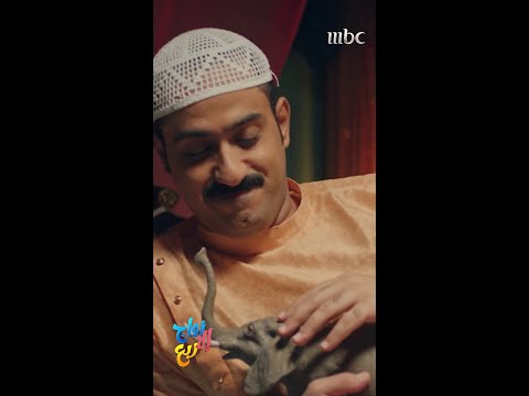 حكمة ولكن
