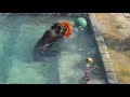 Игры в бассейне плавно перетекают на сушу 🐻🌊 Медведь Мансур