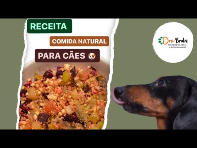 RECEITA DE COMIDA NATURAL P/ CÃES