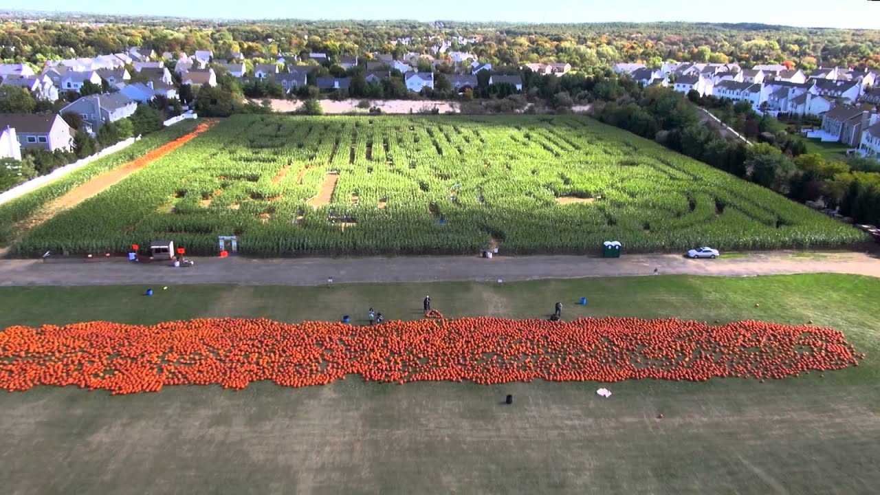 Long Island Pumpkin Farm Produced by Aerial New York (HD) YouTube