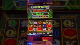 😳 🔎 How Much Did I Win $$$ , Here Kitty Kitty Kitty?! #slots #lasvegas