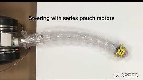 A tip mount for soft growing robot