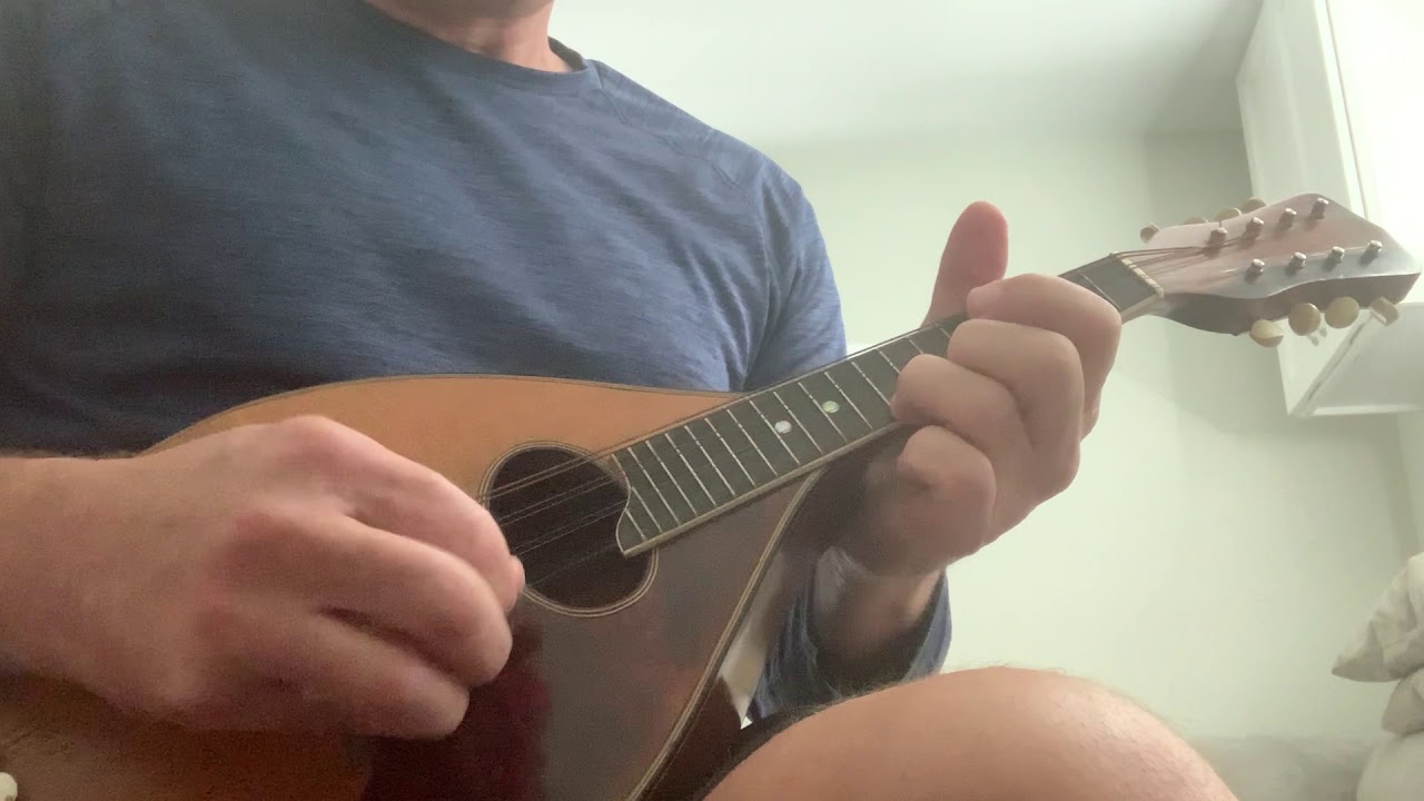 Vintage Regal Style A Bent Top Mandolin 1920's Brazilian Rosewood and Spruce top