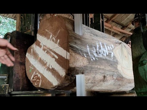 Video: Mandi Yang Diperbuat Daripada Cedar (30 Foto): Pemotongan Manual Kayu Kanada Dan Altai, Tempat Mandi Yang Diperbuat Daripada Larch Dan Pain, Bahan Semula Jadi Apa Yang Lebih Baik U