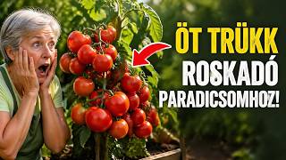 Öt zseniális trükk a bőséges paradicsomhoz: Hogyan szüretelj roskadozó bokrokat, még akkor is, ha s