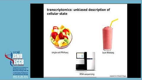SS04-I: Lineage estimation from single-cell... - Fabian Theis - Special Sessions - ISMB/ECCB 2017