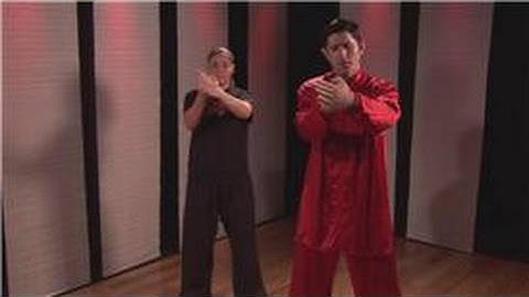 Kung Fu : Palm Block & Lunge Punch Combo