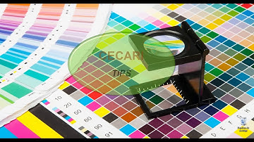 ¿Cómo crear y cargar tu respaldo en Harlequin RIP?