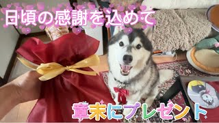日頃の感謝を込めて章末さんにプレゼントしました。