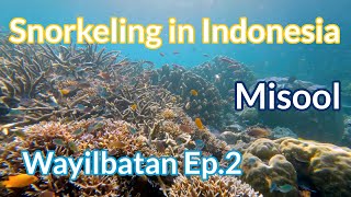 Wayilbatan, Ep.2 - Misool, Raja Ampat - 4K Snorkeling in Indonesia