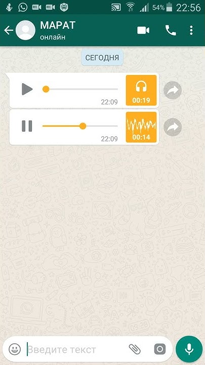 WhatsApp Chatbot – Panther Taxis