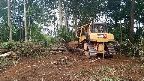 Caterpillar d6r XL Bulldozer Opening and clearing new land #heavyequipment #bulldozer