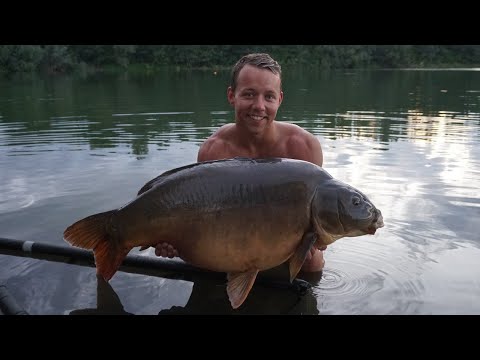 Video: Hoe Om Karp Gevul Met Bokwiet En Sampioene Te Kook