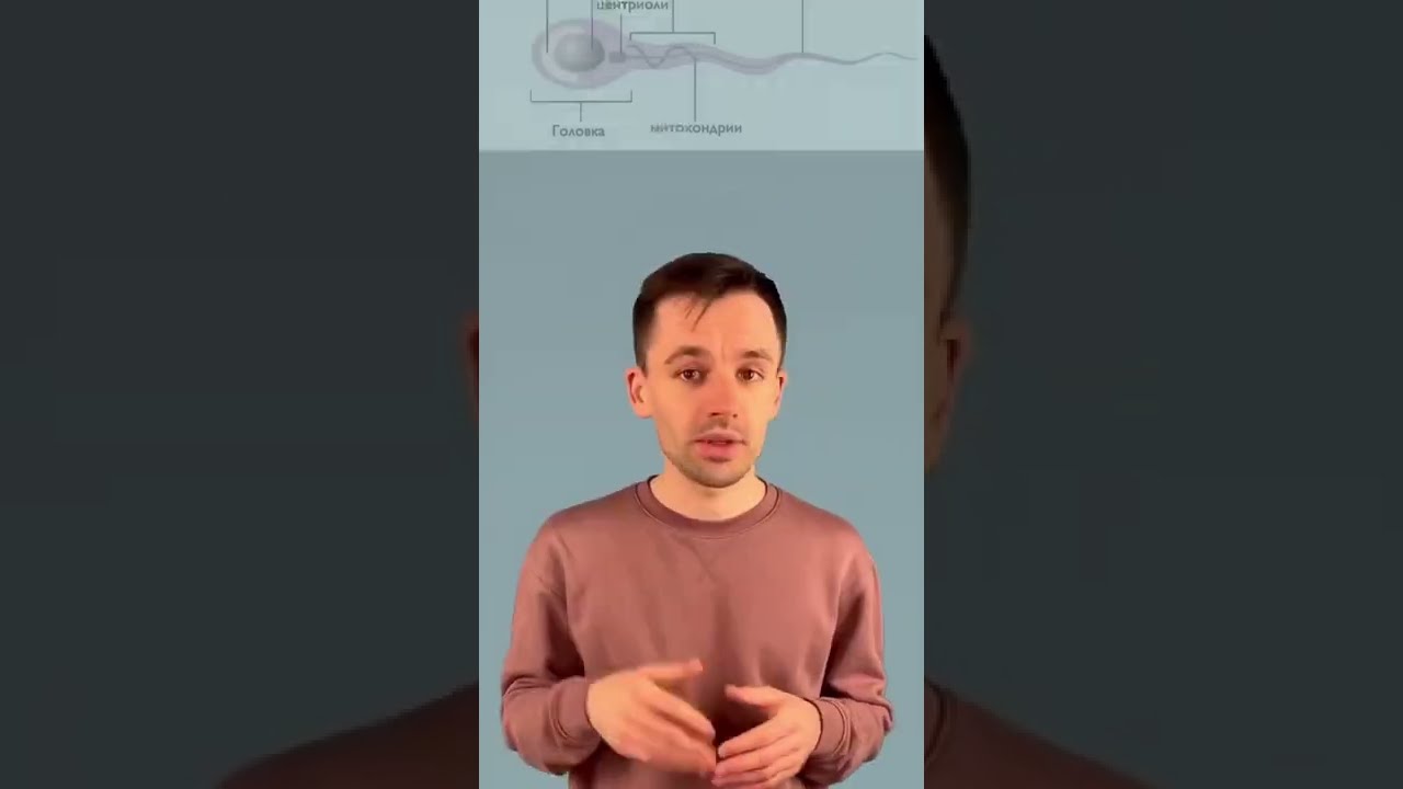 как узнать, бесплодна ли ты у мужчины