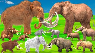 Woolly Mammoth vs Mastodon Fight Which Was More Powerful? Prehistoric Mammals VS Modern Mammals