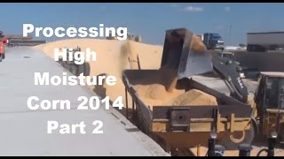 High Moisture Corn Processing 2014 Part 2