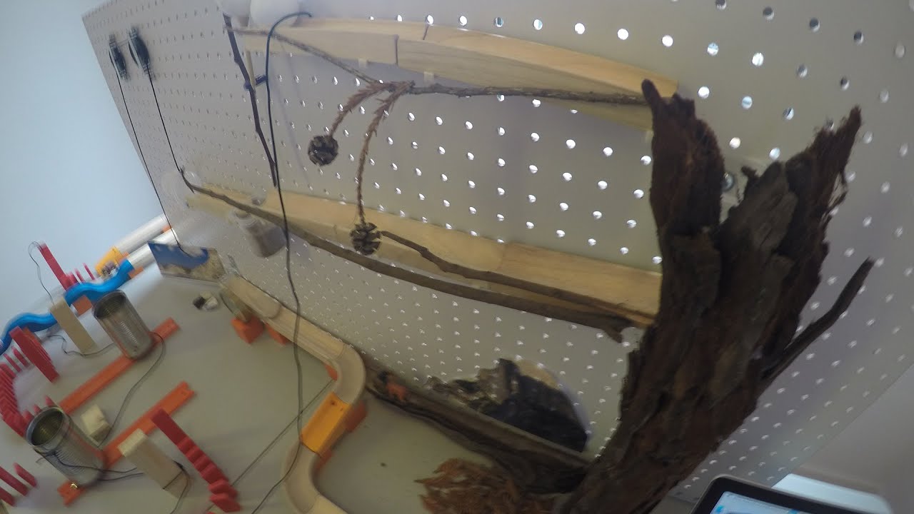 California Parks & Conservation Machine - YouTube