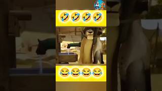 शेर को सबाशी मिली 😆