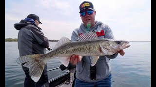 Mille Lacs Walleye Fishing is on FIRE Right Now