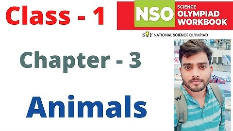 NSO National Science Olympiad | Class- 1  | C - 3 | Animals | 2024- 25