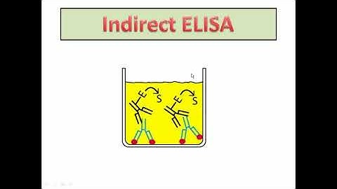 Bảng so sánh 3 phương pháp clia ifa và elisa