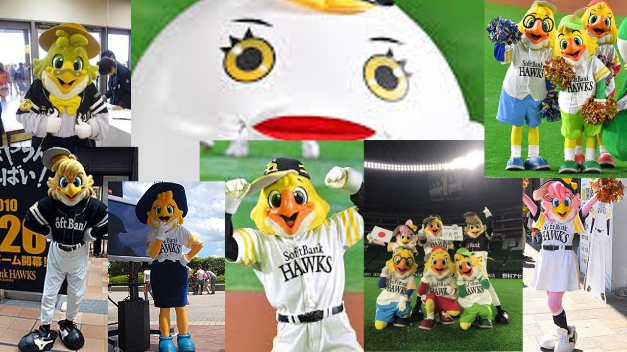 12球団のマスコットをゆっくり解説part4 ハリー ホーク 福岡ソフトバンクホークス プロ野球 Youtube