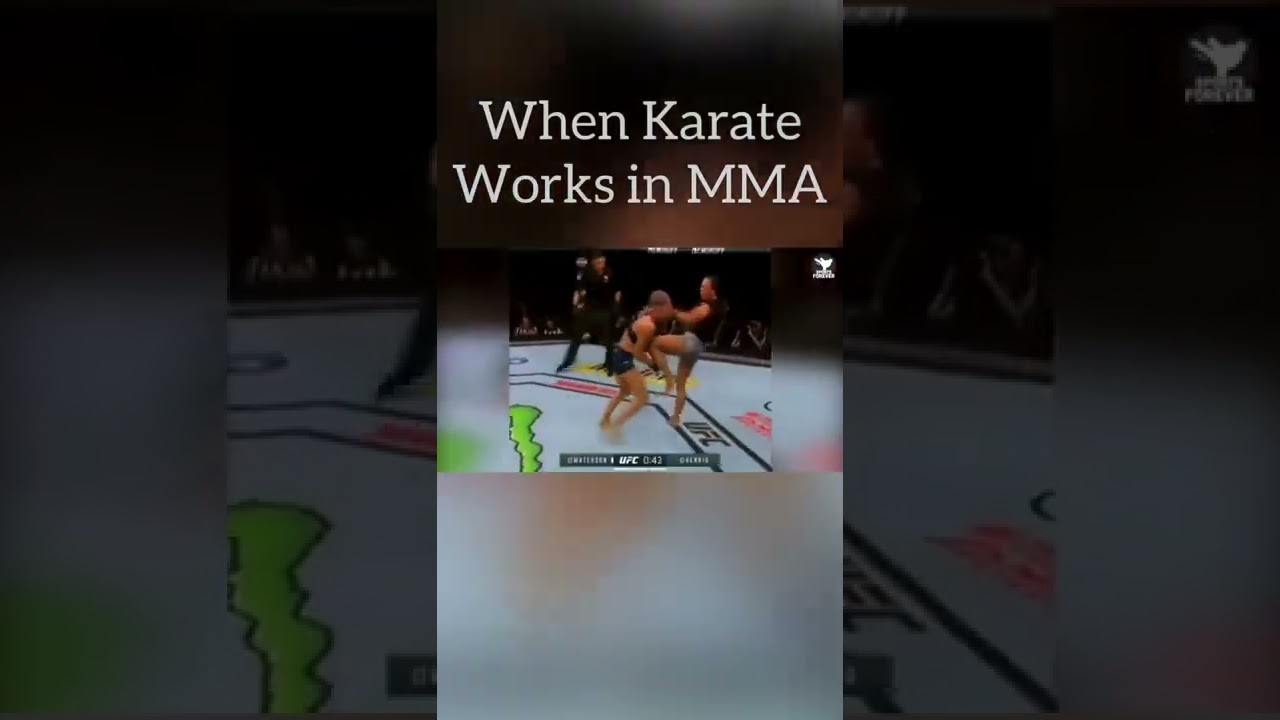 Karate in MMA