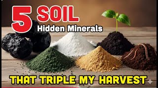 5 Essential Minerals Every Farmer Needs for a BIG Harvest