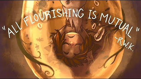 Xenolithic Pitch Video: It