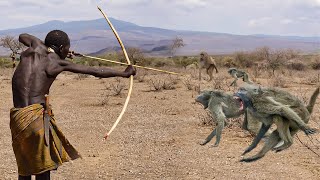 How The Hadzabe Tribe Fights Baboons (And Almost Lose!)