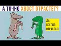 Ящерица троллит Крысу!) Лютые приколы! Спецвыпуск | Мемозг 627