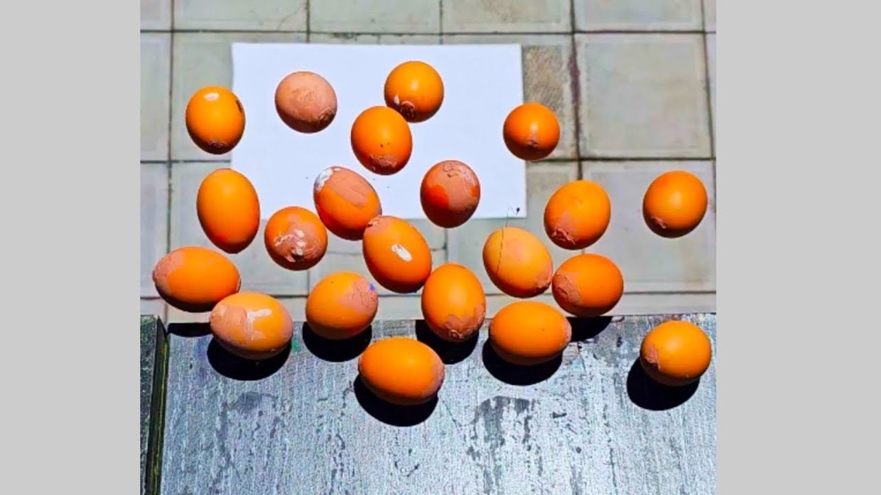 🎈Breaking Glass Bottles and Balloon drops🥚 - Crushing Crunchy & Soft Things🔥🍾🌈