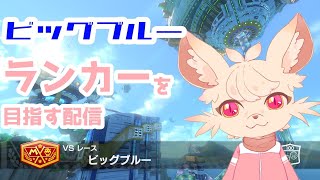 【マリオカート8DX】ビッグブルー TA 配信