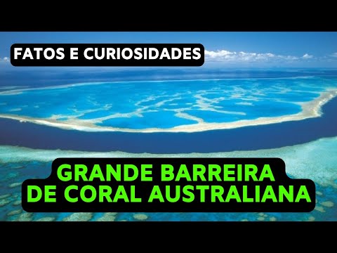 Vídeo: Os 8 melhores passeios na Grande Barreira de Corais de 2022