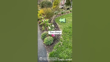 Curved Lines, Clean Edges