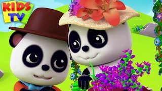 lavenders blue dilly dilly baby bao panda cartoon nursery songs for babies kids tv