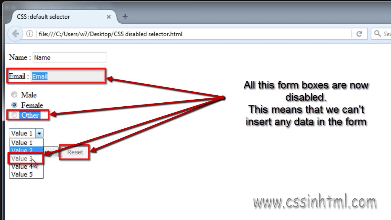 How to disable HTML form CSS?