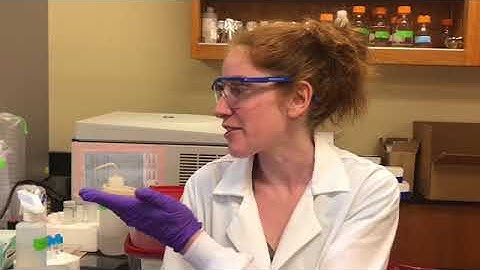 Nakya Robinson   Envision 2018