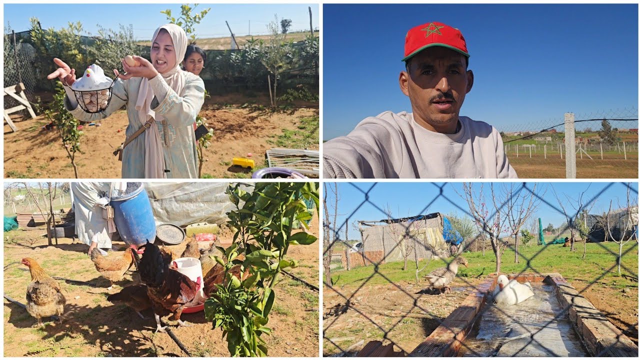 اش هاد الخير فاض علينا فالفرمة غبرنا غير نهار والقيمة المفاجئات 