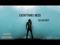 ► Everything I Need《我的歸屬》- Skylar Grey__ Aquaman Soundtrack 中英字幕