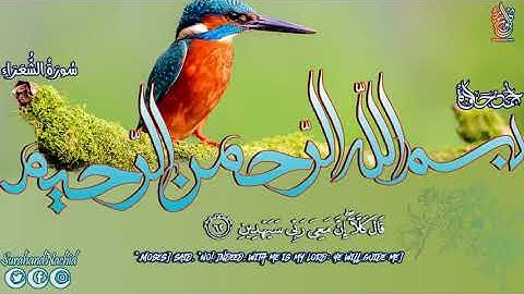 تلاوة هادئة سورة الشعراء صوت مريح جدا القارئ أحمد حلاوة Surah Ash Shu'ara HD