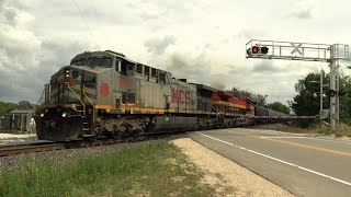 Gray Ghost Leads an Oil Can