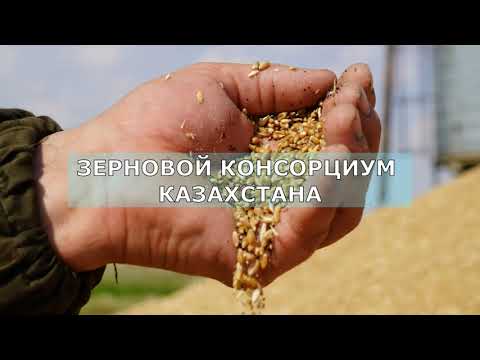 Что такое "Зерновой консорциум Казахстана?"